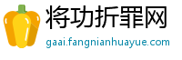 将功折罪网